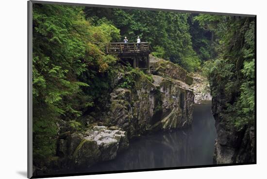 Capilano River Regional Park, Vancouver, British Columbia, Canada, North America-Richard Cummins-Mounted Photographic Print