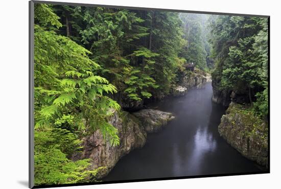 Capilano River Regional Park, Vancouver, British Columbia, Canada, North America-Richard Cummins-Mounted Photographic Print