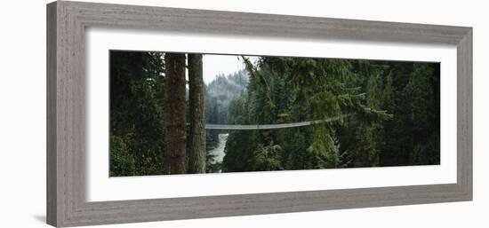 Capilano Suspension Bridge, Vancouver, British Columbia, Canada, North America-null-Framed Photographic Print