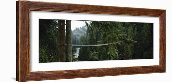 Capilano Suspension Bridge, Vancouver, British Columbia, Canada, North America-null-Framed Photographic Print