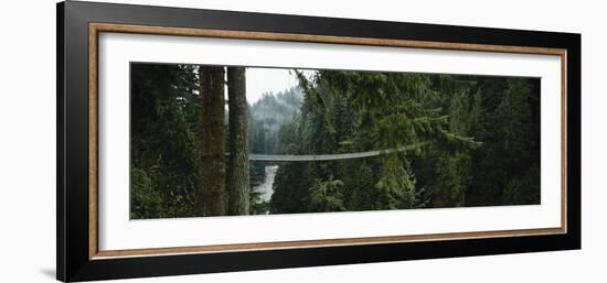 Capilano Suspension Bridge, Vancouver, British Columbia, Canada, North America-null-Framed Photographic Print