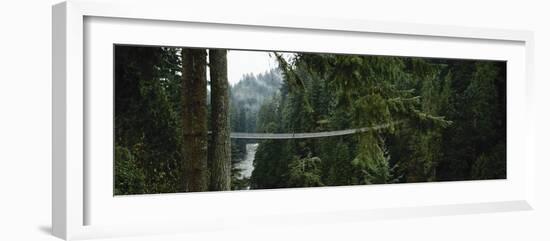 Capilano Suspension Bridge, Vancouver, British Columbia, Canada, North America-null-Framed Photographic Print