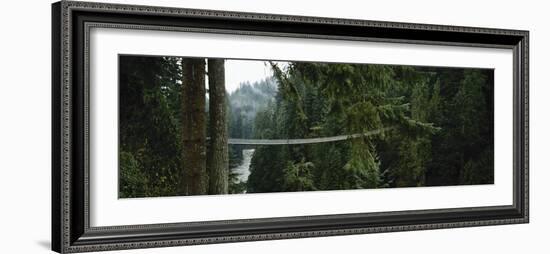 Capilano Suspension Bridge, Vancouver, British Columbia, Canada, North America-null-Framed Photographic Print