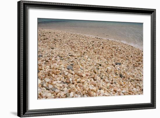 Capital City of Gustavia, Shell Beach, St. Bart's, West Indies-Cindy Miller Hopkins-Framed Photographic Print