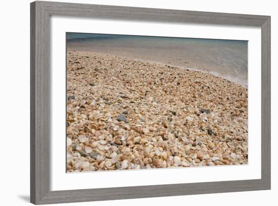 Capital City of Gustavia, Shell Beach, St. Bart's, West Indies-Cindy Miller Hopkins-Framed Photographic Print