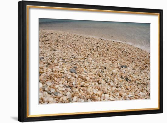 Capital City of Gustavia, Shell Beach, St. Bart's, West Indies-Cindy Miller Hopkins-Framed Photographic Print