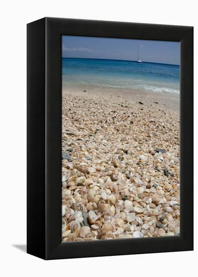 Capital City of Gustavia, Shell Beach, St. Bart's, West Indies-Cindy Miller Hopkins-Framed Premier Image Canvas