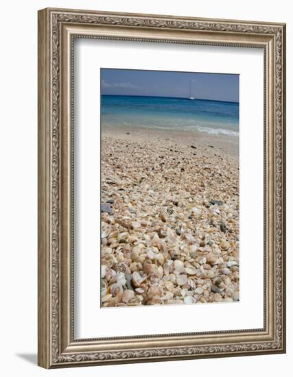 Capital City of Gustavia, Shell Beach, St. Bart's, West Indies-Cindy Miller Hopkins-Framed Photographic Print