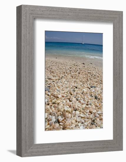 Capital City of Gustavia, Shell Beach, St. Bart's, West Indies-Cindy Miller Hopkins-Framed Photographic Print