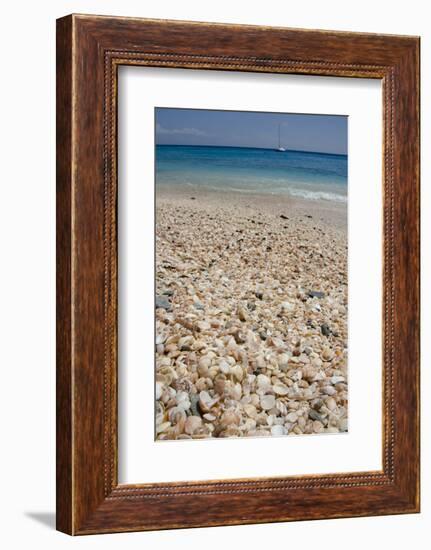 Capital City of Gustavia, Shell Beach, St. Bart's, West Indies-Cindy Miller Hopkins-Framed Photographic Print