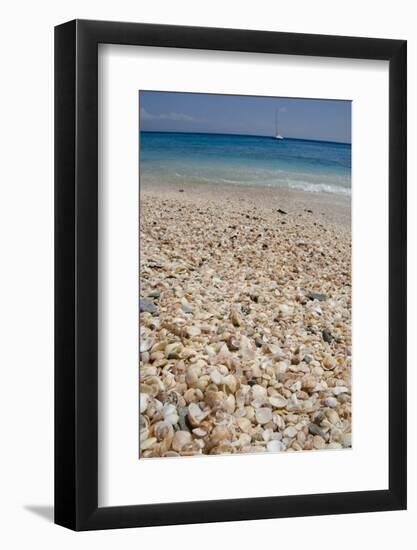 Capital City of Gustavia, Shell Beach, St. Bart's, West Indies-Cindy Miller Hopkins-Framed Photographic Print