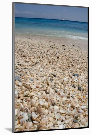 Capital City of Gustavia, Shell Beach, St. Bart's, West Indies-Cindy Miller Hopkins-Mounted Photographic Print