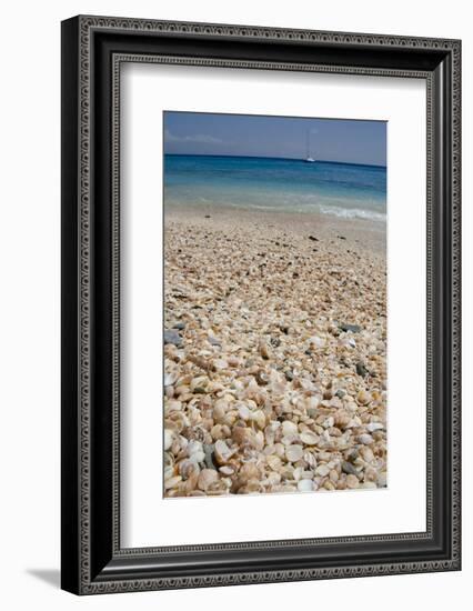 Capital City of Gustavia, Shell Beach, St. Bart's, West Indies-Cindy Miller Hopkins-Framed Photographic Print