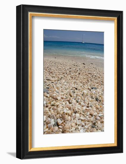 Capital City of Gustavia, Shell Beach, St. Bart's, West Indies-Cindy Miller Hopkins-Framed Photographic Print