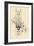 Capital Letter K Decorated with Plant Motifs. ,1880 (Illustration)-Jules Auguste Habert-dys-Framed Giclee Print