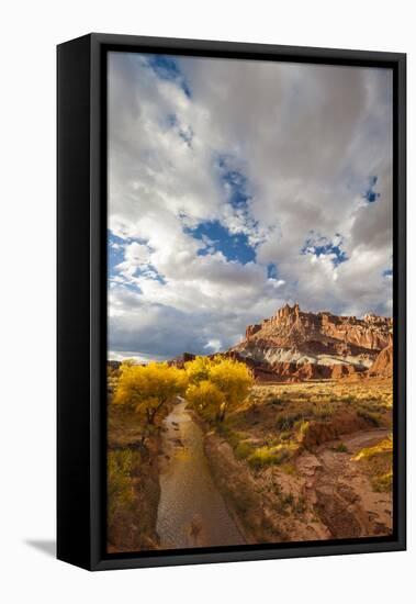 Capital Reef National Park. Autumn Reflections, the Castle and Sulphur Creek-Judith Zimmerman-Framed Premier Image Canvas