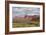 Capital Reef National Park-Don Paulson-Framed Giclee Print