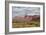 Capital Reef National Park-Don Paulson-Framed Giclee Print