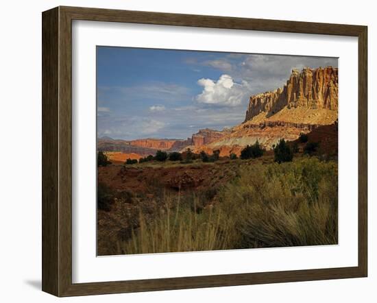 Capital Reef, UT-J.D. Mcfarlan-Framed Photographic Print