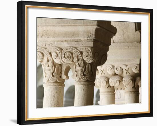 Capitals in Cloister of Notre-Dame De Senanque Abbey, Gordes, Vaucluse, Provence, France-Godong-Framed Photographic Print