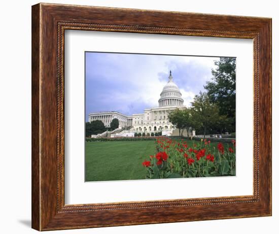 Capitol Building and Colorful Flowers, Washington DC, USA-Bill Bachmann-Framed Photographic Print