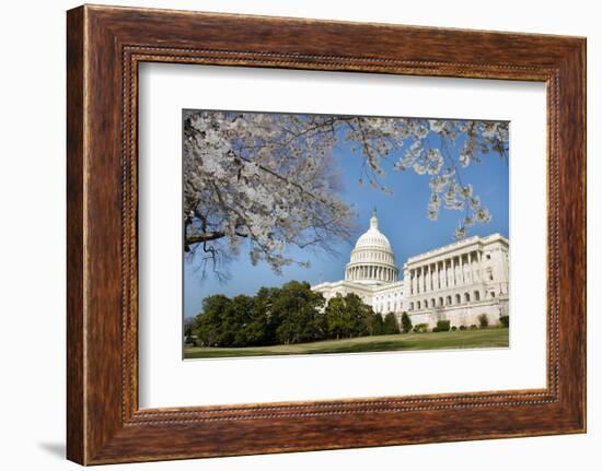 Capitol Building in Spring - Washington DC-Orhan-Framed Photographic Print