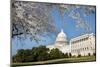 Capitol Building in Spring - Washington DC-Orhan-Mounted Photographic Print