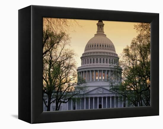 Capitol Building, Washington, D.C., USA-null-Framed Premier Image Canvas