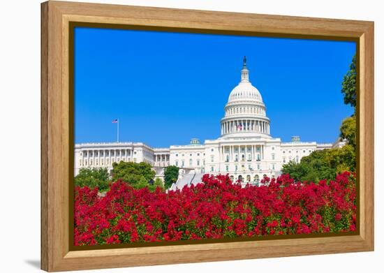 Capitol Building Washington DC Pink Flowers Garden USA Congress US-holbox-Framed Premier Image Canvas