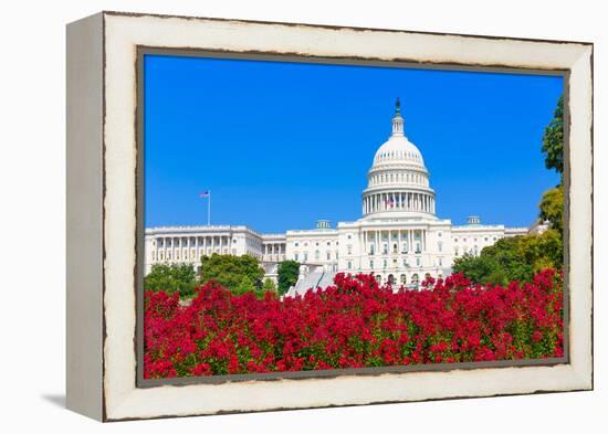 Capitol Building Washington DC Pink Flowers Garden USA Congress US-holbox-Framed Premier Image Canvas