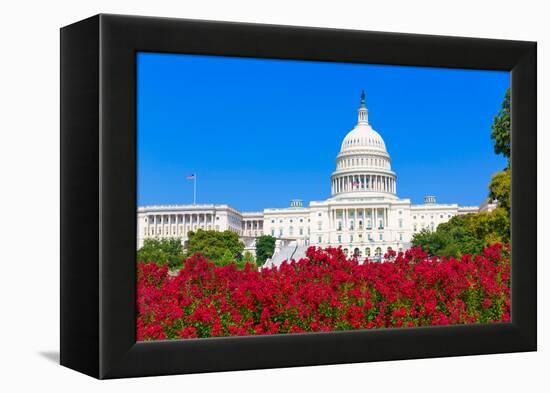 Capitol Building Washington DC Pink Flowers Garden USA Congress US-holbox-Framed Premier Image Canvas