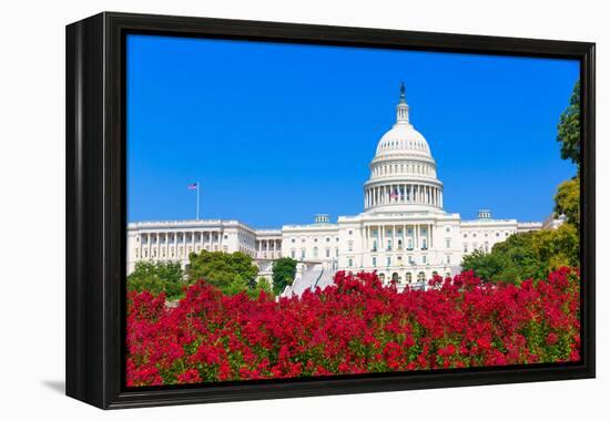 Capitol Building Washington DC Pink Flowers Garden USA Congress US-holbox-Framed Premier Image Canvas