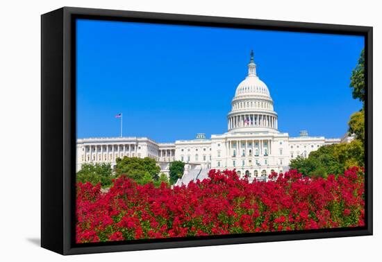 Capitol Building Washington DC Pink Flowers Garden USA Congress US-holbox-Framed Premier Image Canvas