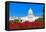 Capitol Building Washington DC Pink Flowers Garden USA Congress US-holbox-Framed Premier Image Canvas