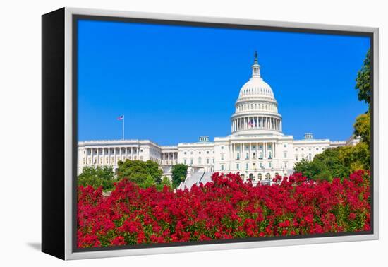 Capitol Building Washington DC Pink Flowers Garden USA Congress US-holbox-Framed Premier Image Canvas