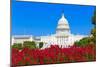 Capitol Building Washington DC Pink Flowers Garden USA Congress US-holbox-Mounted Photographic Print