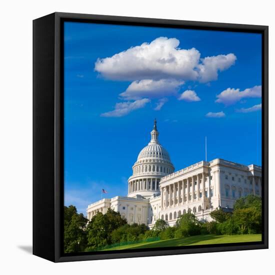 Capitol Building Washington DC Sunlight Day USA US Congress-holbox-Framed Premier Image Canvas