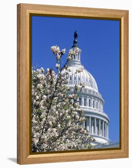 Capitol Building, Washington, DC-Mark Gibson-Framed Premier Image Canvas