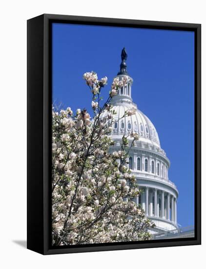 Capitol Building, Washington, DC-Mark Gibson-Framed Premier Image Canvas
