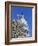 Capitol Building, Washington, DC-Mark Gibson-Framed Photographic Print