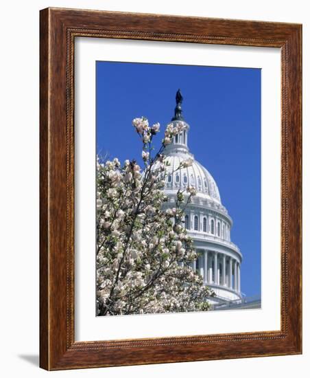 Capitol Building, Washington, DC-Mark Gibson-Framed Photographic Print