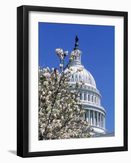 Capitol Building, Washington, DC-Mark Gibson-Framed Photographic Print