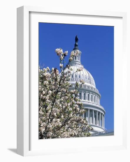 Capitol Building, Washington, DC-Mark Gibson-Framed Photographic Print