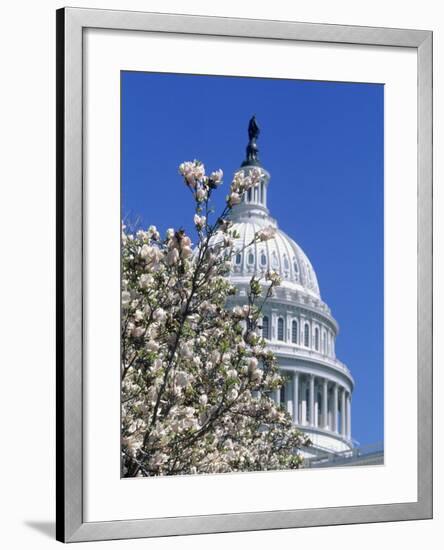 Capitol Building, Washington, DC-Mark Gibson-Framed Photographic Print