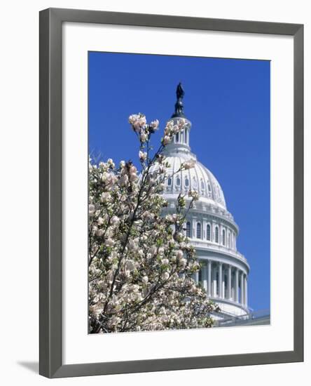 Capitol Building, Washington, DC-Mark Gibson-Framed Photographic Print