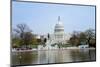 Capitol Building with Reflection in Lake in Washington DC-Songquan Deng-Mounted Photographic Print