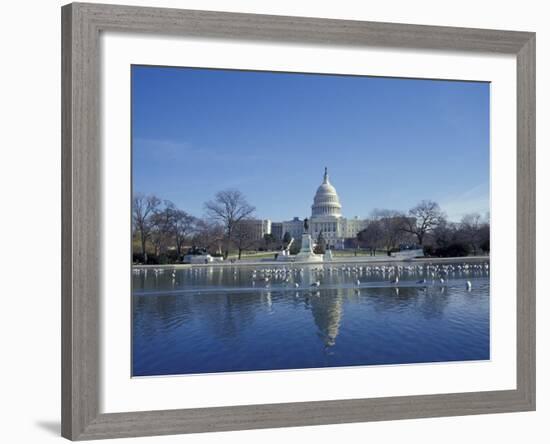 Capitol from across Capitol Reflecting Pool, Washington DC, USA-Michele Molinari-Framed Photographic Print