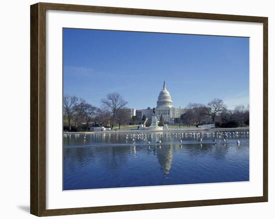 Capitol from across Capitol Reflecting Pool, Washington DC, USA-Michele Molinari-Framed Photographic Print