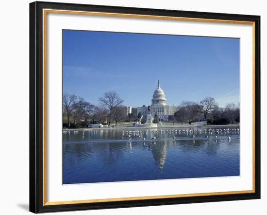 Capitol from across Capitol Reflecting Pool, Washington DC, USA-Michele Molinari-Framed Photographic Print