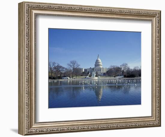 Capitol from across Capitol Reflecting Pool, Washington DC, USA-Michele Molinari-Framed Photographic Print